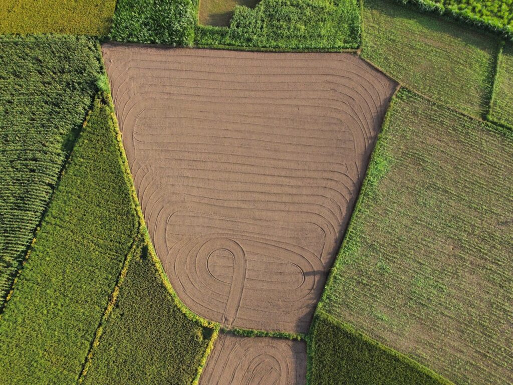 ๐ฑ Organic Farming Examples (Real-Life Practices & Case Studies) 3 Crop Rotation example