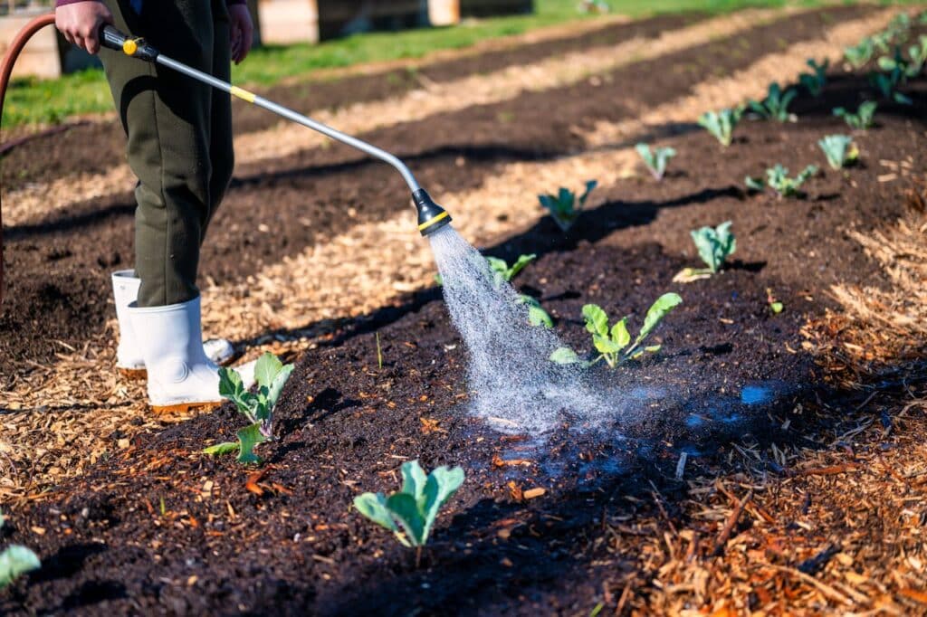 ๐ฑ Organic Farming Methods Explained (Techniques, Practices & Examples) 1 organic farming methods showing composting mulching and natural farming techniques