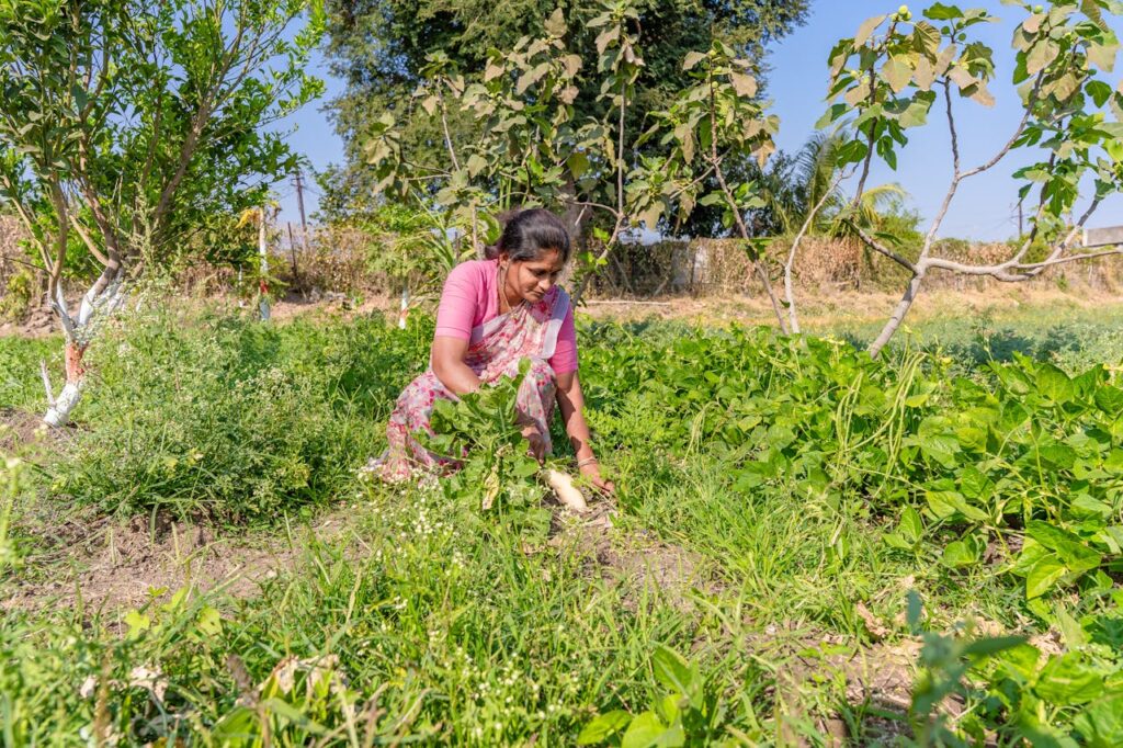 ๐ฑ Organic Farming Examples (Real-Life Practices & Case Studies) 1 Zero BUdget Natural Farming example India