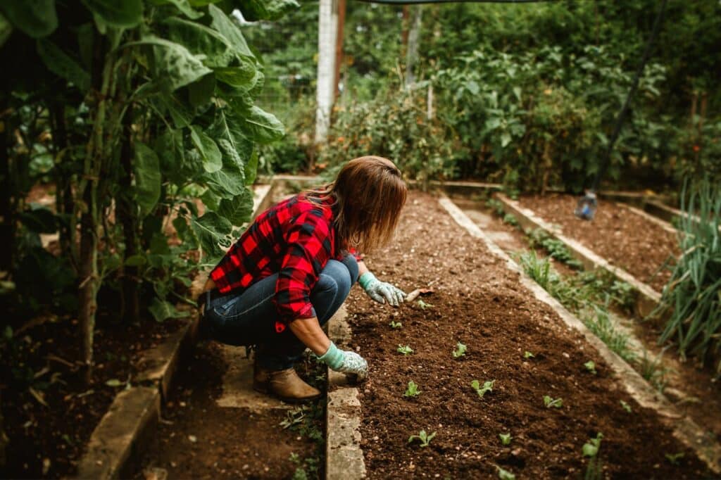 ๐ฑ Organic Farming Examples (Real-Life Practices & Case Studies) 2 No Dig Organic Farming
