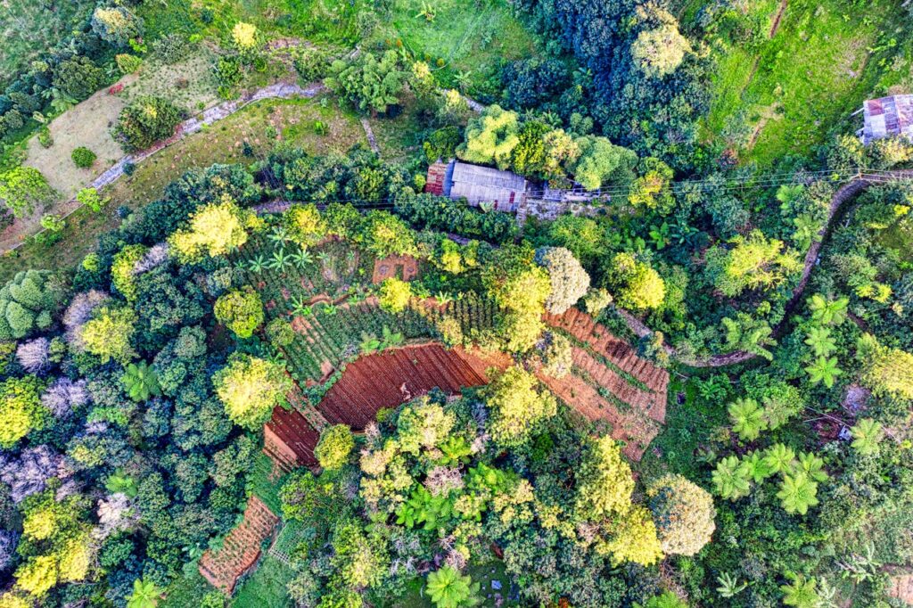 ๐ฑ Organic Farming Examples (Real-Life Practices & Case Studies) 7 Permaculture Farm example